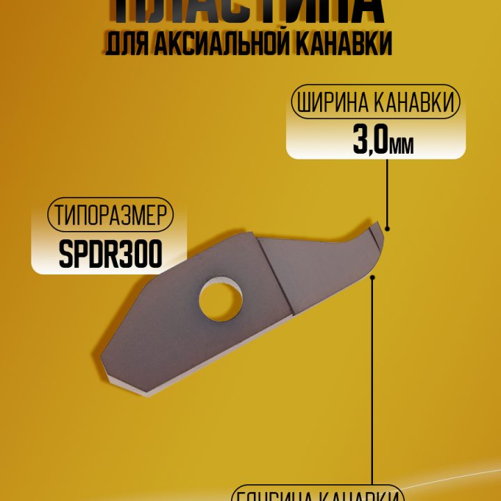Пластина SPDR300D10 WSM25  KSPDR акс