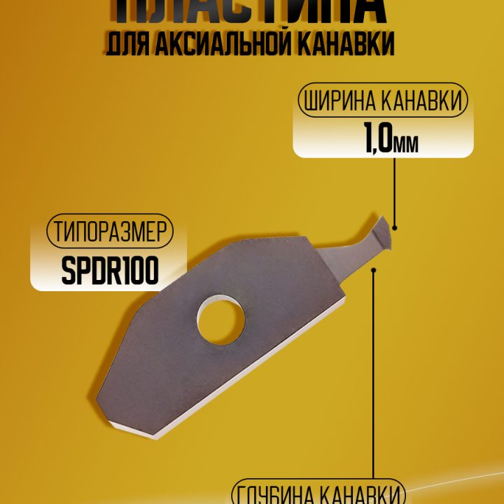 Пластина SPDR100D10 WSM25  KSPDR акс